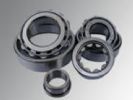 Cylindrical Roller Bearings